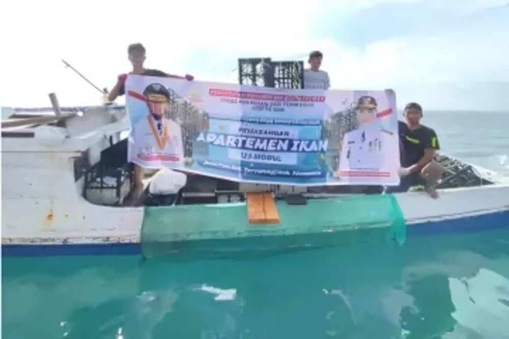 Nelayan di Kupa Barru Panen Ikan Senilai Rp200 Juta Berkat Program Apartemen Ikan Gubernur Andi Sudirman
